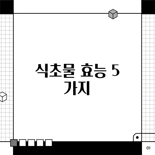 식초물 효능 5 가지