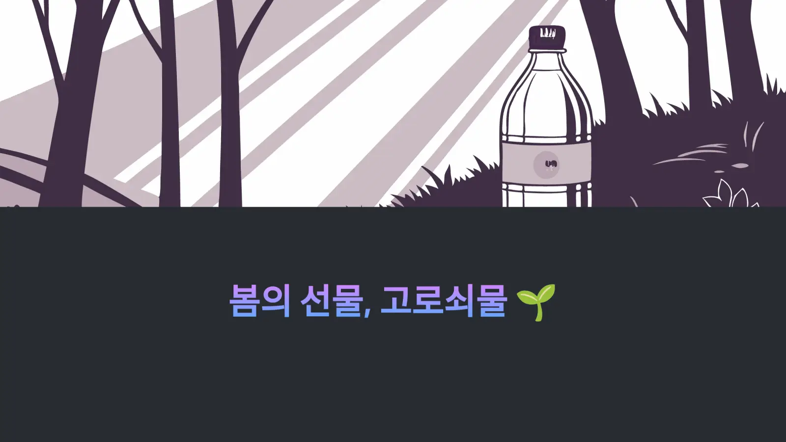 봄의 선물 고로쇠물