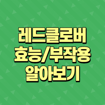  레드클로버 효능과 부작용 알아보기