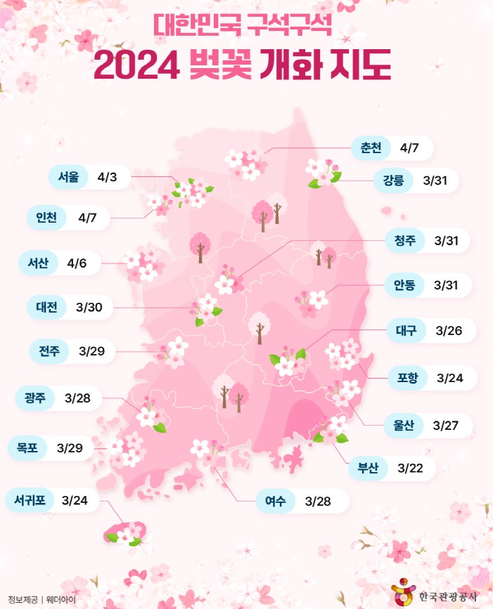2024 벚꽃 개화시기 및 벚꽃축제 일정