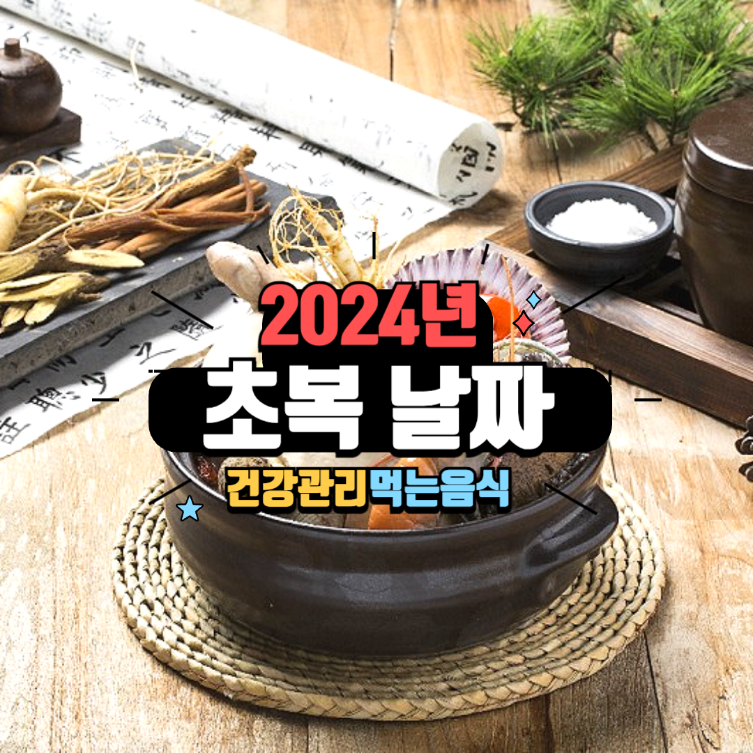 24년 초복