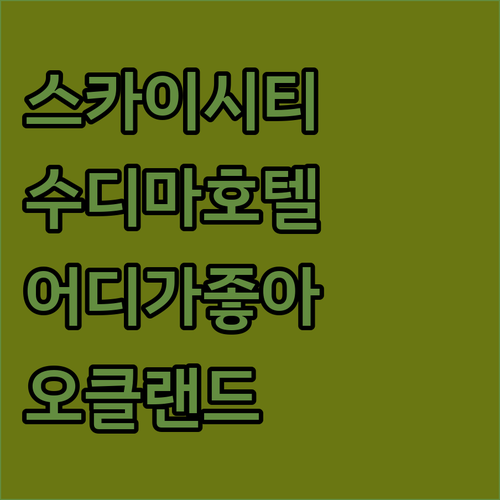 스카이시티 그랜드 호텔 vs 수디마 