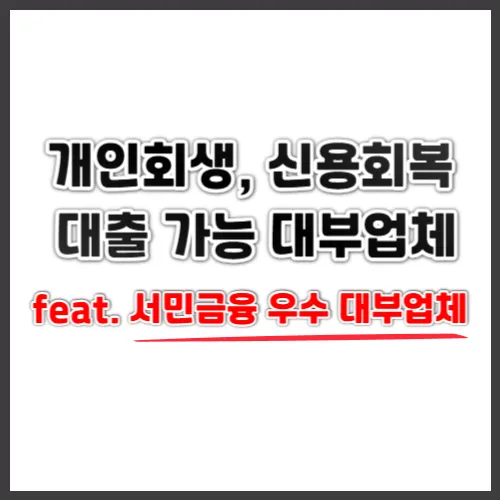  개인회생 신용회복 중 대출 가능한 우수 대부 업체 금리 및 한도 확인