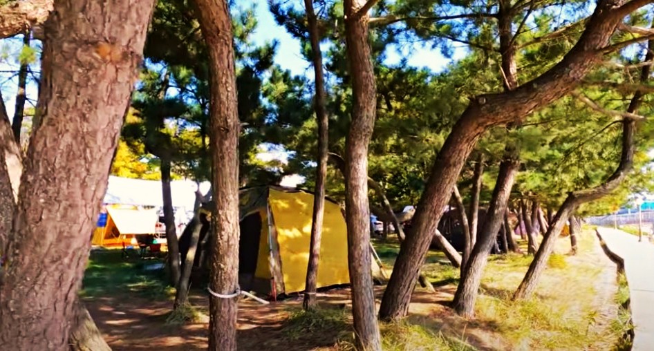 당진-캠핑-장소