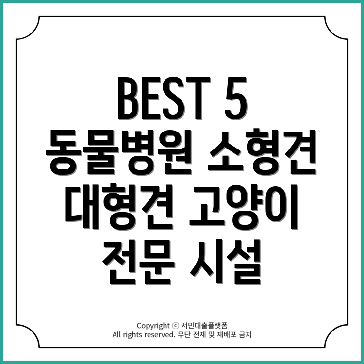 보령시 소형견 대형견 응급실 및 고양이 전문병원 미용 호텔 BEST 5!