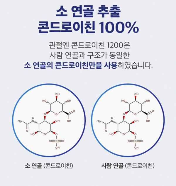 콘드로이친효능