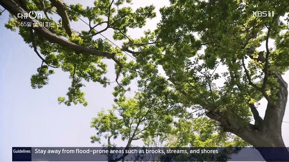 다큐 On.E201.230610p.H264-F1RST.mp4_20230611_165948.826.jpg