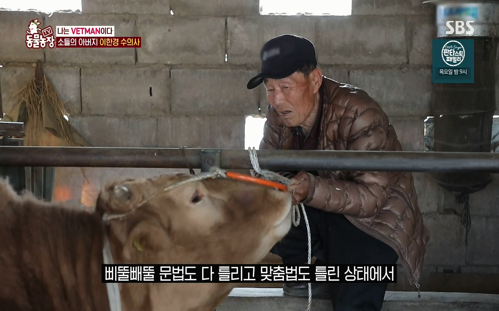 TV 동물농장.E1069.220515p.H264-F1RST.mp4_20220515_181030.791.jpg