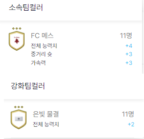 FC 메스팀 컬러