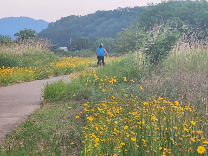 자전거 타기 운동 효과