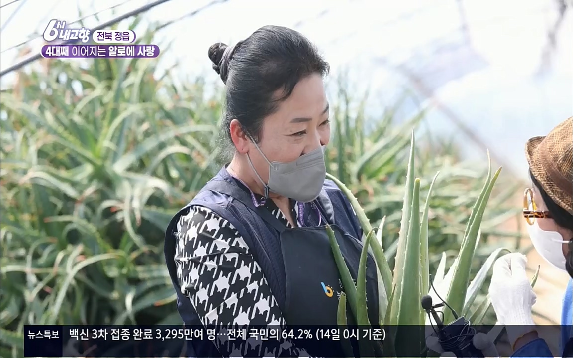 6시 내고향.E7511.220415p.H264-F1RST.mp4_20220425_174114.057.jpg