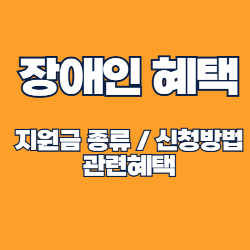 장애인 혜택 총정리: 경증, 중증, 청각 및 시각 장애 지원