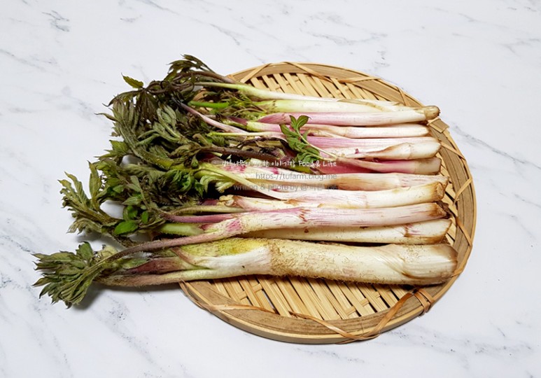 거창 대구 판매 손질 및 보관법 제철 봄나물 우도열매 - 2021년 17