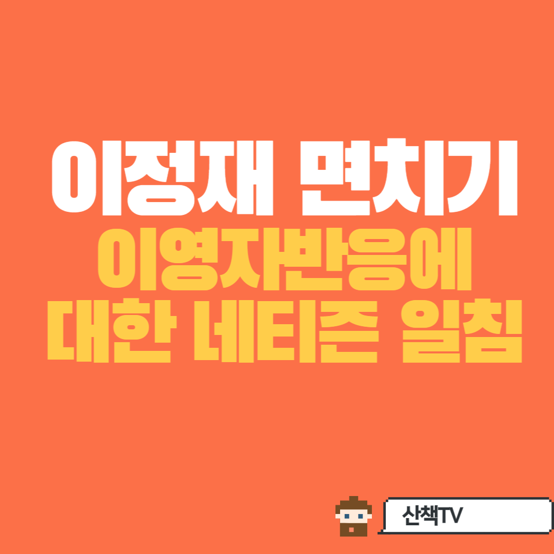  이정재 면치기 관련 유튜브 댓글 일침