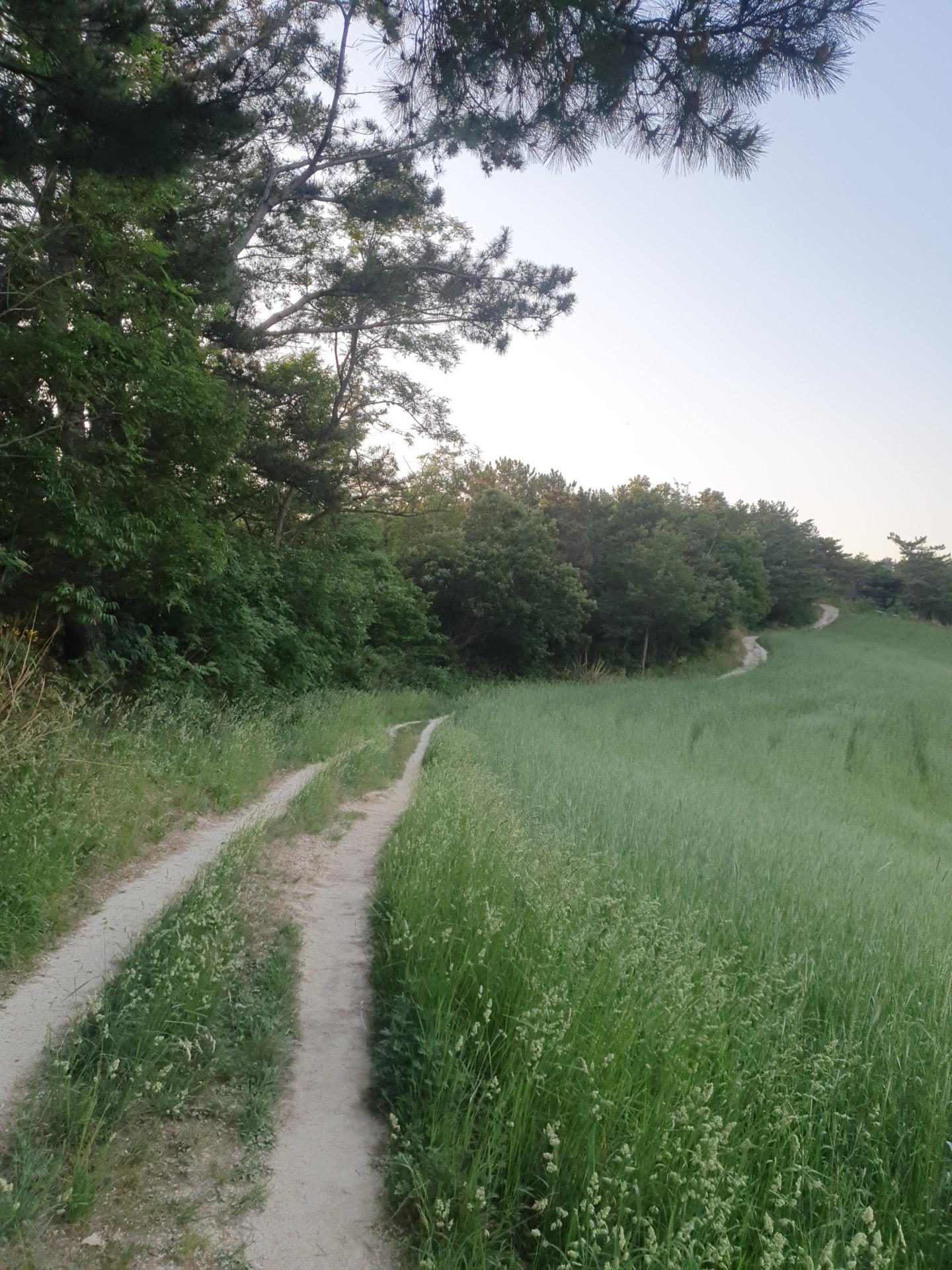 20220526_190111.jpg