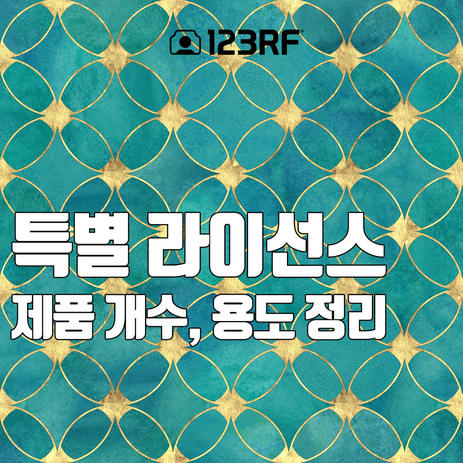  특별 라이선스의 제품 개수, 복수 용도 정리