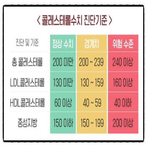 콜레스테롤수치 진단기준