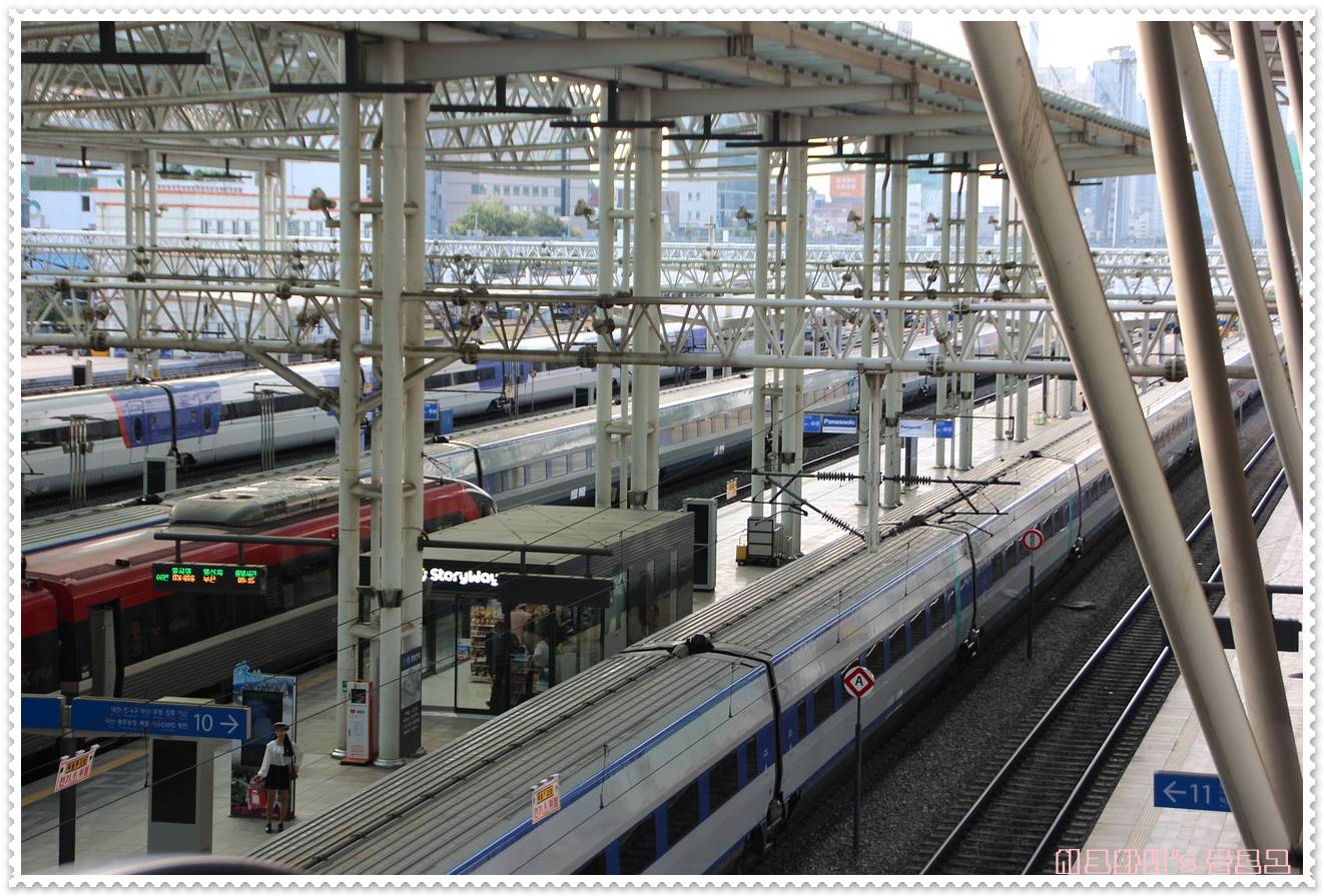  2023년 추석 황금연휴 KTX, SRT 기차표 예매 일정 및 고속버스 예매 방법