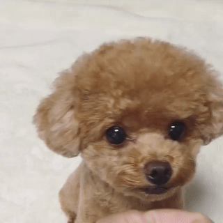  [웃는하루]뀨잇~~