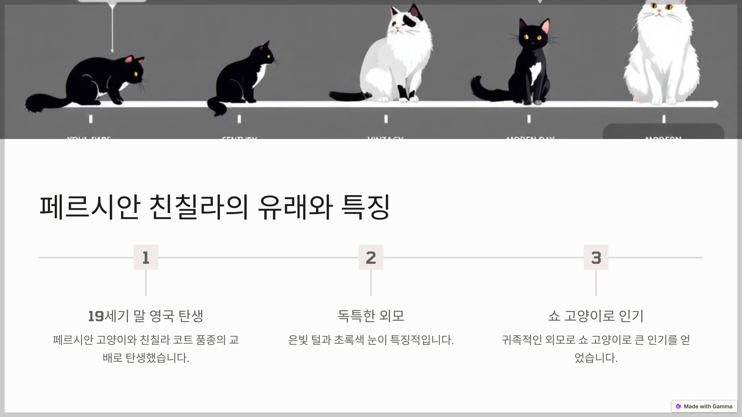 페르시안 친칠라의 유래와 특징