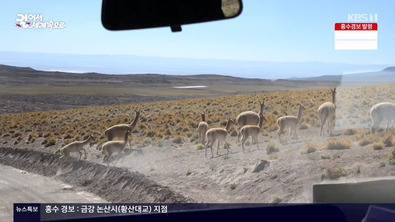 걸어서 세계속으로.E801.230716p-NEXT.mp4_20230724_211715.848.jpg