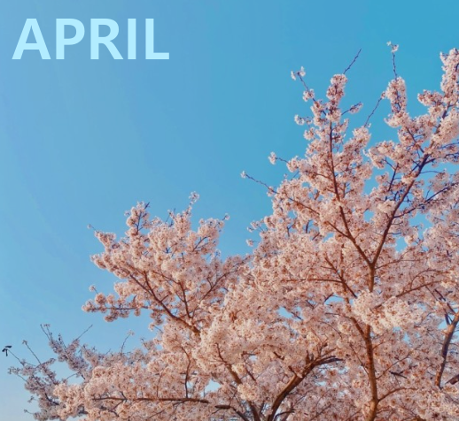  4월 증시 주요 일정