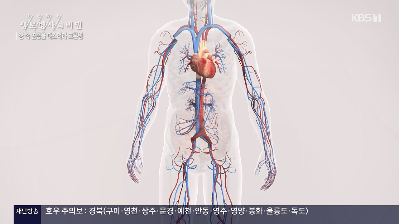 생로병사의 비밀.E884.230921p-NEXT.mp4_20230921_204736.329.jpg