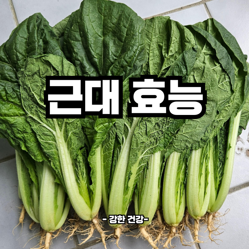 근대 효능