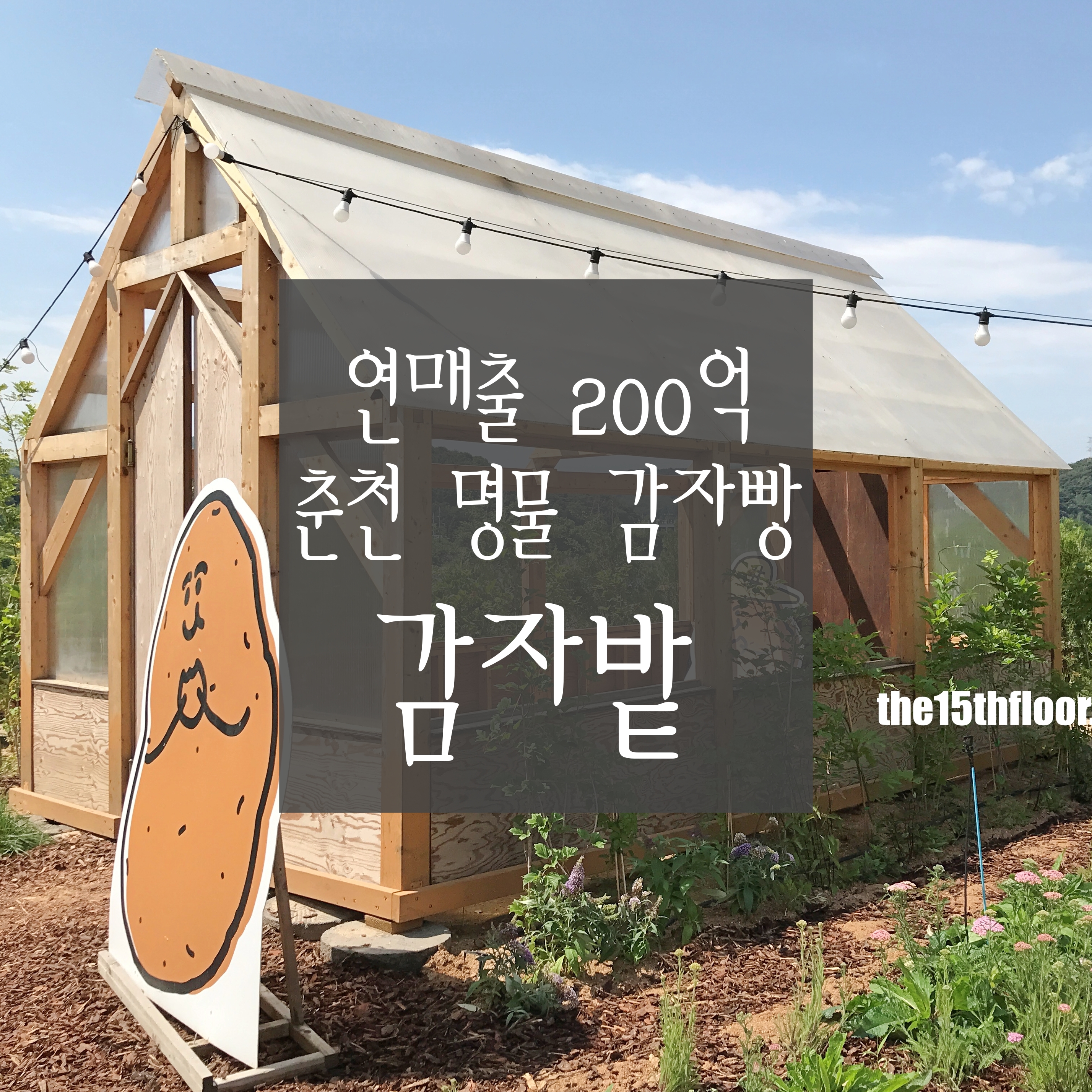  [강원도 춘천 '감자밭'] 춘천 명물! SNS 트렌드 '감자빵' 맛도 좋고 뷰도 예쁜 카페(베이커리)