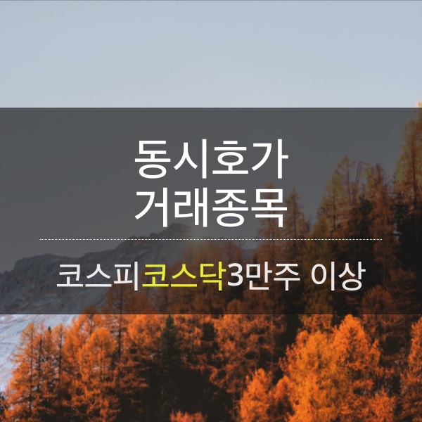 [09.13] 동시호가 거래 종목으로 보는 시황 리뷰