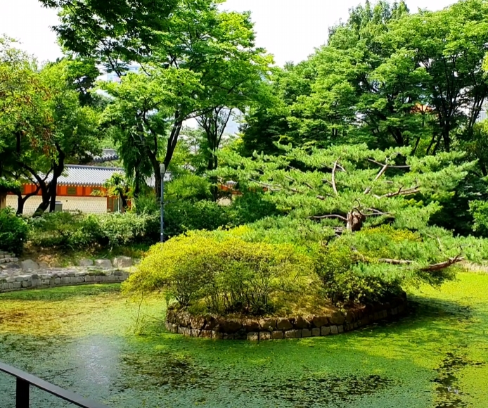 카페 사랑 이미지