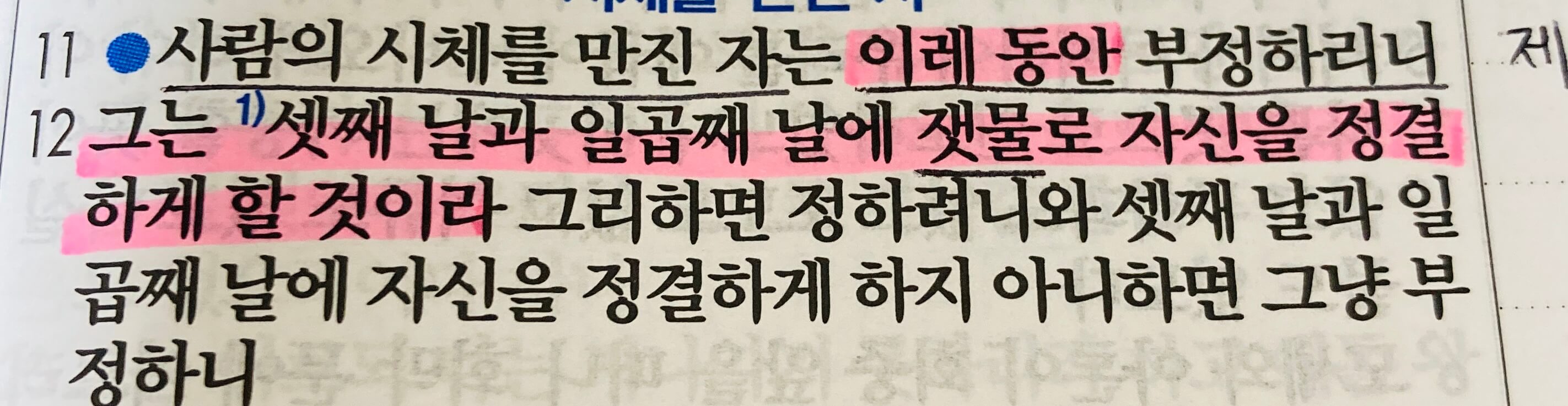 셋째 날과 일곱째 날에 잿물로 자신을 정결하게 할 것이라