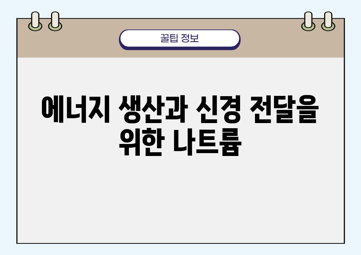 에너지 생산과 신경 전달을 위한 나트륨