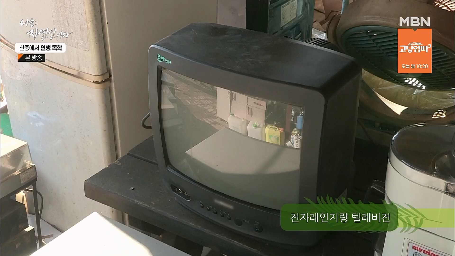 나는 자연인이다.E539.230201p.H264-F1RST.mp4_20230204_181739.717.jpg