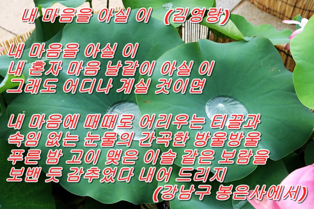 아실 이미지
