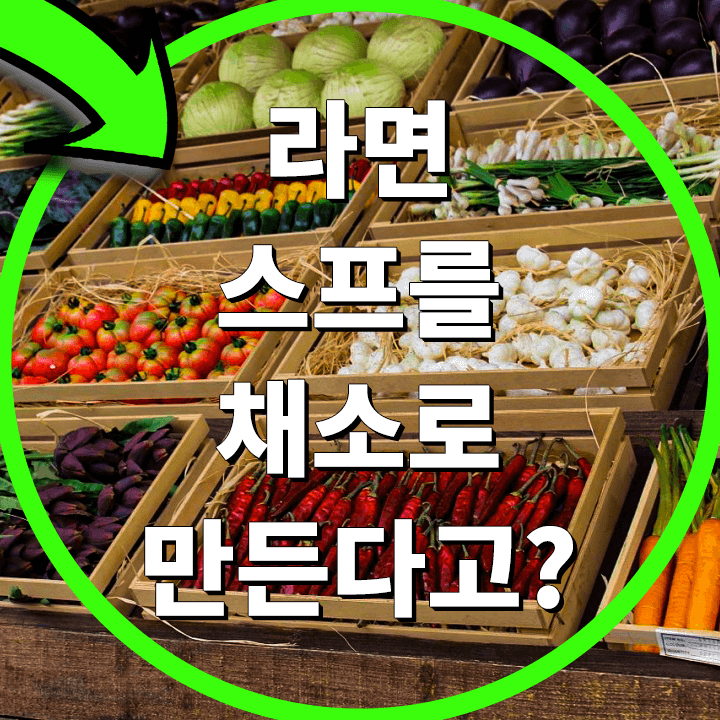 풀무원-오뚜기-농심-비건-라면