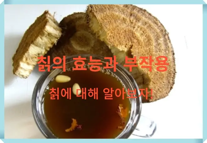 칡의 효능2