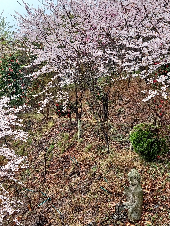 img.jpg
