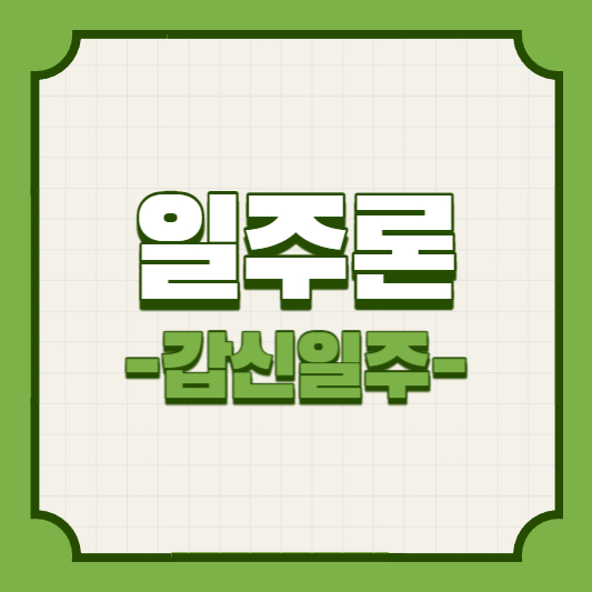 갑신일주