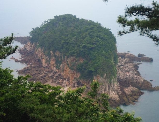 삽시도-면삽지