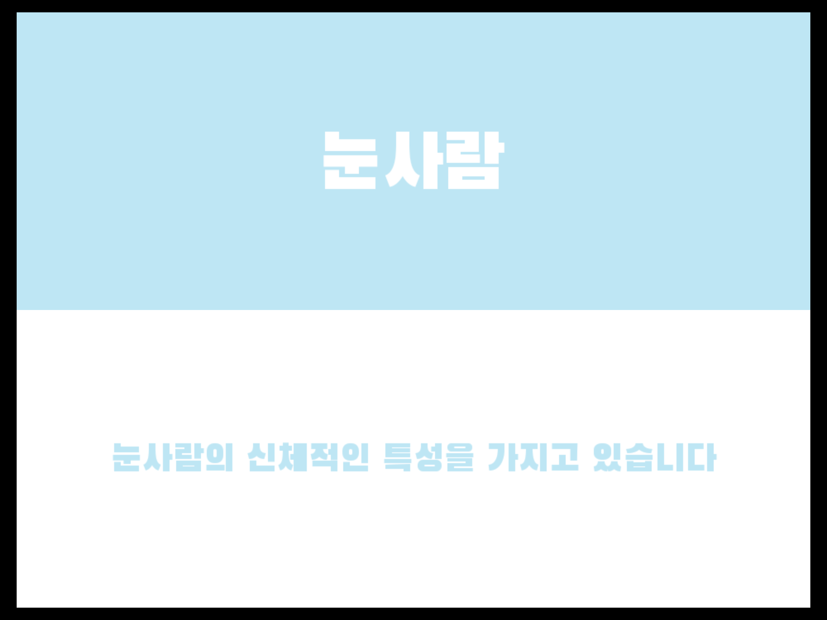 무르 이미지