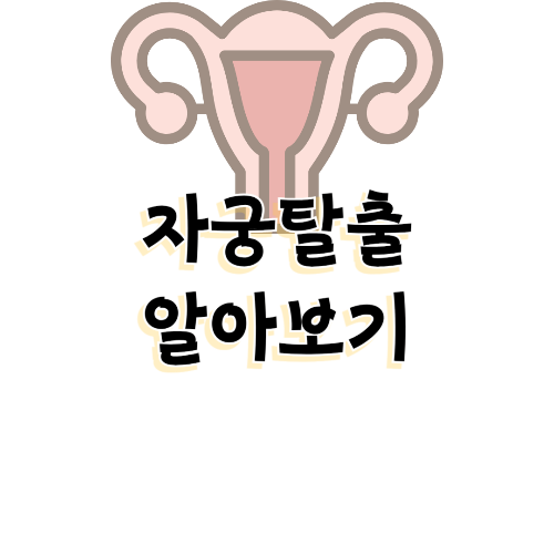 자궁