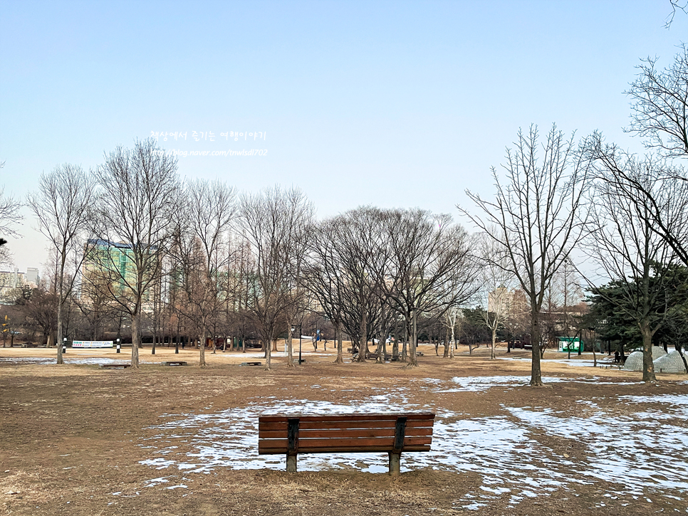 올림픽공원 나홀로나무 사진찍기 좋은곳 서울 가볼만한곳 겨울 26