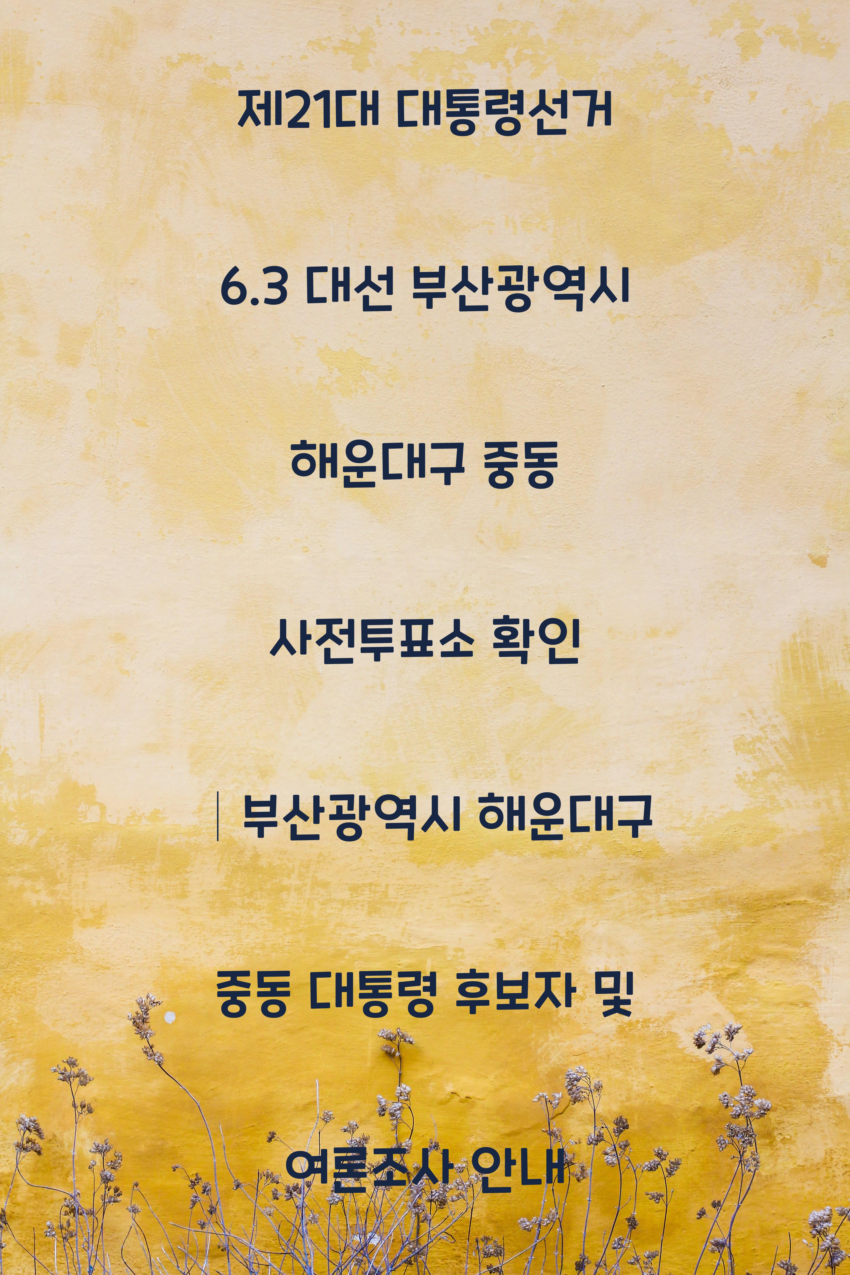제21대 대통령선거 6.3 대선 부산광역시 해운대구 중동 사전투표소 안내 │부산광역시 해운대구 중동 대통령 후보자 및 여론조사 확인