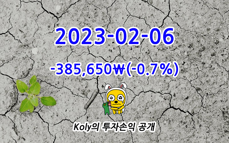 Koly의 주식투자 손익 공개