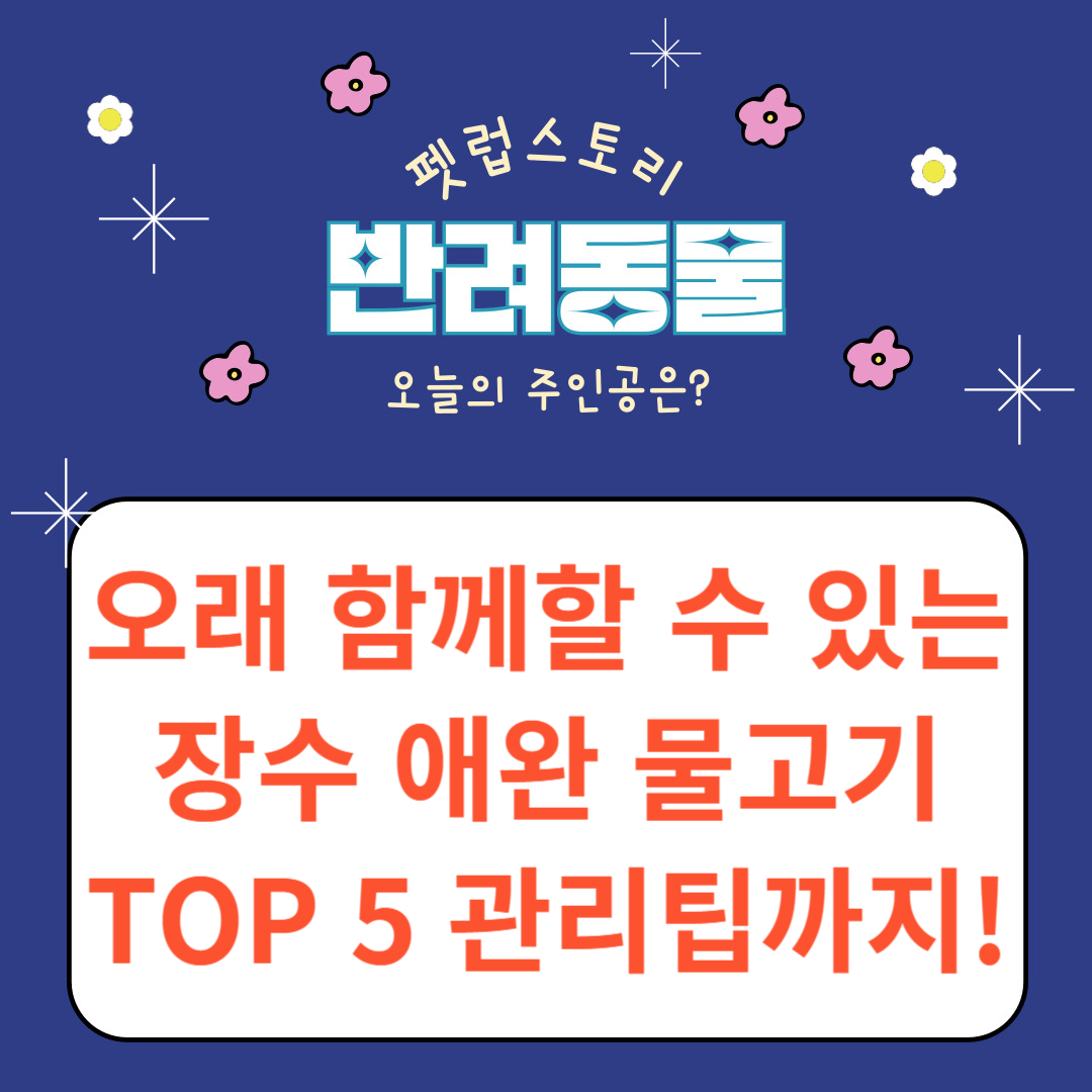 오래 함께할 수 있는 장수 애완 물고기 TOP 5 관리팁까지!