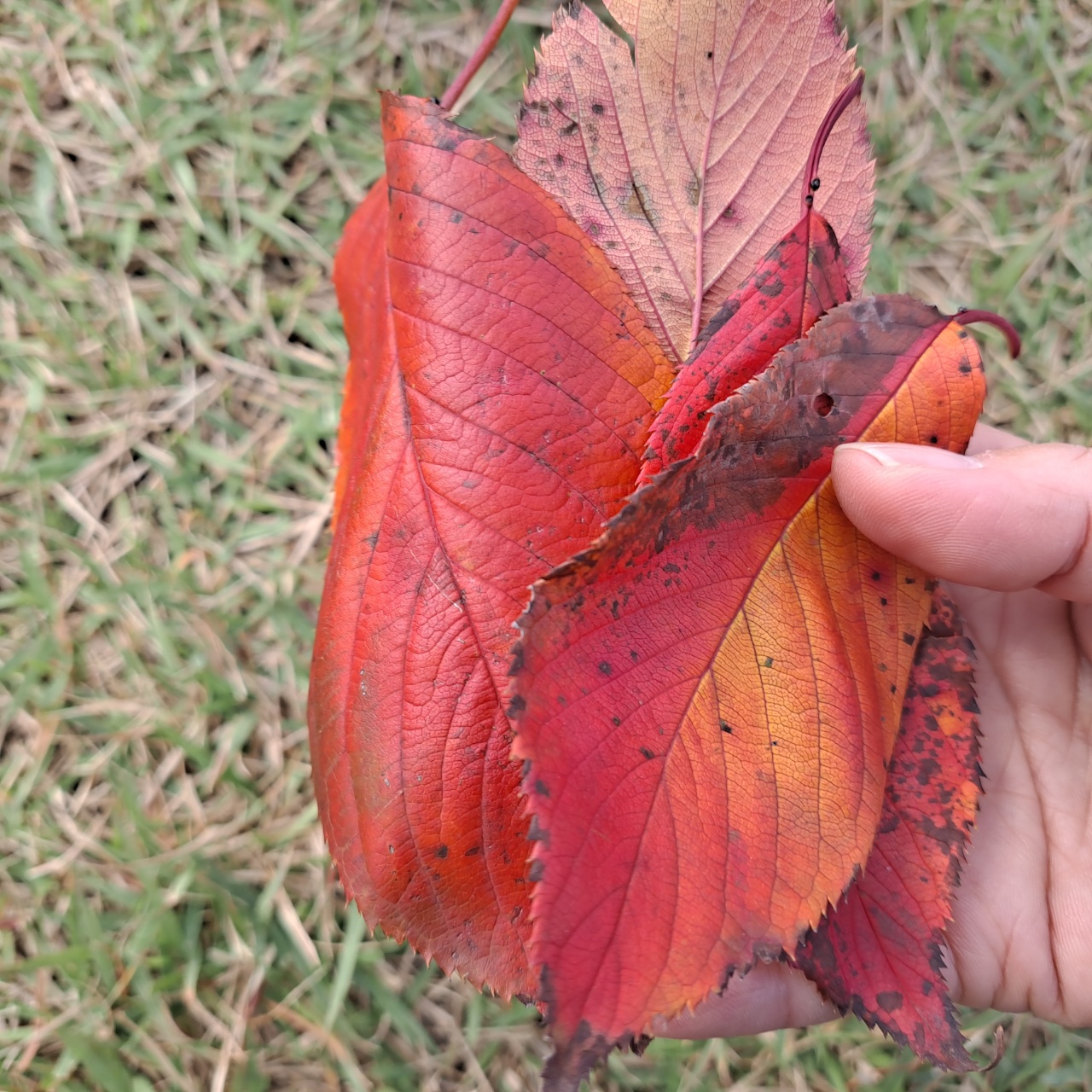 부동산임대 이미지