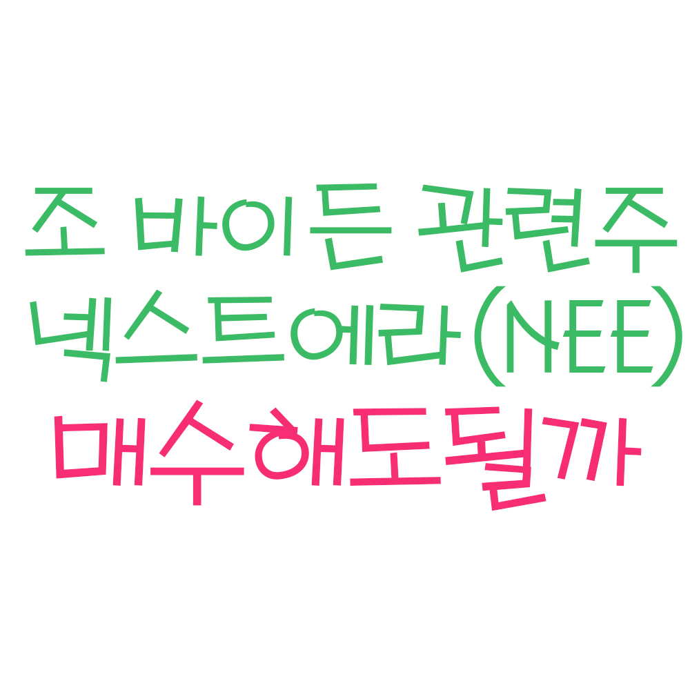  조 바이든 관련 대표주, 넥스트에라 에너지 ! (ft.조 바이든 수혜주, 넥스트에라 에너지 주가, 넥스트에라 에너지 주식 및 배당금)