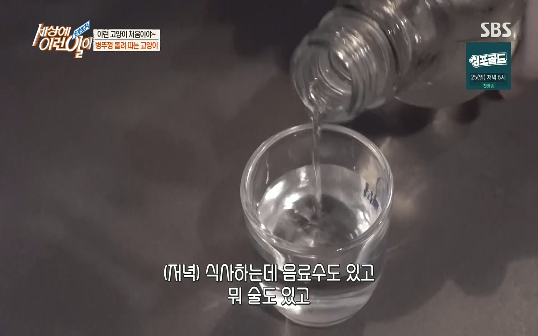 순간포착 세상에 이런일이.E1197p.H264-F1RST.mp4_20220914_202413.611.jpg