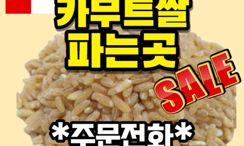 체중 혈당관리 카무트란?카무트파는곳 9